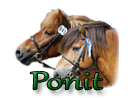 Ponit